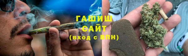 шишки Гусь-Хрустальный